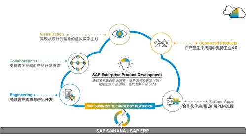 SAP供應鏈云三套產品落地中國，官方培訓課程助您操作無憂，管理高效