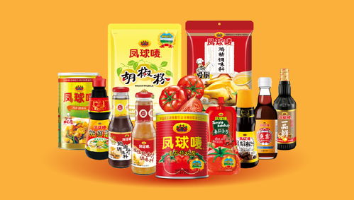 鳳球嘜 以戰(zhàn)略重塑品牌，用視覺(jué)點(diǎn)燃味蕾——調(diào)味品行業(yè)品牌全案策劃解析